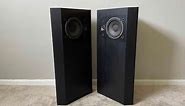 Bose 401 Direct Reflecting Tower Home Floor Standing Speakers