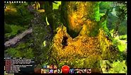 Guild Wars 2 - Caledon Forest - All Vistas Guide