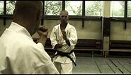 Budo - Basic Fighting Techniques