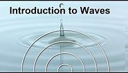 Physics Waves: Frequency & Wavelength FREE Science Lesson