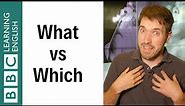 What vs Which - English In A Minute