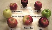 Apples 101 - About Jonathan Apples