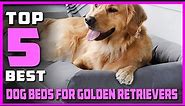 Top 8 Best Dog Beds for Golden Retrievers Review in 2023