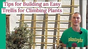 Build a DIY Trellis for Your Climbing Plants (Clematis, Honeysuckle, Trumpet Vine & More)