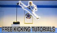 Taekwondo Kicking Tutorials Promo (Ginger Ninja Trickster) | How to Videos