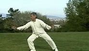 Fu Style - Tai Chi Lightning Palm