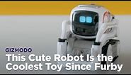 This Cute Robot Is the Coolest Toy Since Furby