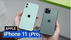 Vyzkoušeli jsme iPhone 11 (Pro). Je to nejlepší fotomobil?