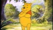 Opening to The New Adventures of Winnie the Pooh: Volume 1 - The Great Honey Pot Robbery 1989 VHS