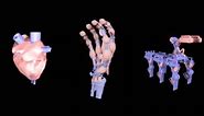 Engineers 3D Print Entire Robotic Hand Complete With Ligaments, Tendons and Skeleton