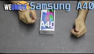 Unboxing Samsung Galaxy A40 - Blue