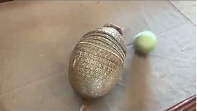Armadillo playing with a ball | Armadillo catching a ball | Armadillo rolling 😁