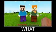 Minecraft wait what meme part 304 realistic minecraft Lego Steve and Alex