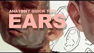 Anatomy Quick Tips: Ears