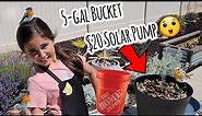 DIY Water Feature Solar Panel & 5 gallon bucket | Water Fountain
