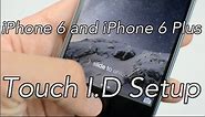 iPhone 6 and iPhone 6 Plus Touch ID/Fingerprint Scanner Setup