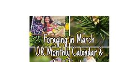 Foraging in March - UK Monthly Calendar & Field Guide 🌱🌳🌸🍄 #foraging #foragingforfood #march #foragingcalendar #wildedibles | Home is where our heart is