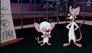 Pinky and the Brain- "Are You Pondering What I'm Pondering?" from "Brain Food"