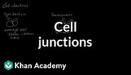 Cell Junctions | Cells | MCAT | Khan Academy