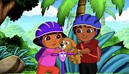 Watch Dora the Explorer Season 8 Episode 1: Dora the Explorer - Dora and Perrito to the Rescue – Full show on Paramount Plus