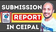 Submission Report in CEIPAL | CEIPAL Training | US IT Recruitment | US Staffing