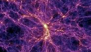 Introduction to the Large Scale Structure of the Universe