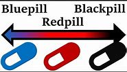 The Bluepill, Redpill & Blackpill EXPLAINED In 1 Video