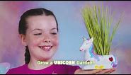 How to grow a Unicorn Garden, paint, plant and nurture!