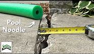 How To Fix A Large Crack In A Concrete Sidewalk | Surprising Results!