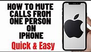 HOW TO MUTE CALLS FROM ONE PERSON ON IPHONE