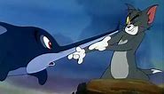Tom and Jerry The Cat and the Mermouse 1949