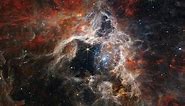 NASA’s James Webb Space Telescope captures 'cosmic tarantula' in new image