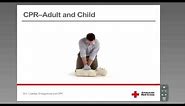 CPR - Adult & Child