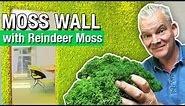 How to Build a Moss Wall With Reindeer Moss