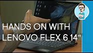 Lenovo Flex 6 14 inch Review | Active Pen Optional? | Laptop Under $1000