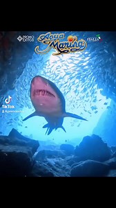 Agua Marina | Promo Exitos