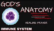 Healing Prayers For Autoimmune Diseases | Powerful Prayer For The Immune System