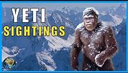Unveiling the Mystery: The Truth Behind the Yeti