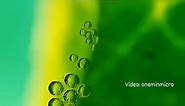 Las plantas producen oxígeno a través de un proceso llamado fotosíntesis. Este proceso comienza cuando la planta absorbe la luz solar a través de sus hojas, específicamente en unas estructuras llamadas cloroplastos. Dentro de los cloroplastos, la luz solar es utilizada para convertir el dióxido de carbono (CO2) y el agua (H2O) en glucosa (azúcares) y oxígeno (O2). La planta utiliza la glucosa como fuente de energía para su crecimiento y desarrollo, y el oxígeno es liberado al medio ambiente como