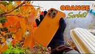 🍎Apple iPhone 15 Pro Max Silicone Case- Orange Sorbet| Maureen Scott