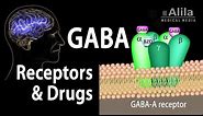 Neuroscience Basics: GABA Receptors and GABA Drugs, Animation