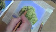 Draw this Willow Tree using Pastel Pencils