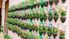 Amazing Vertical Garden Using Plastic Bottles, Portulaca (Moss Rose) Garden on Wall