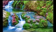 Best Beautiful Nature Wallpapers Images Photos Pics Video