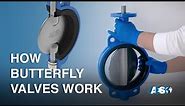 How does a Butterfly Valve work - Hydraulic Valves