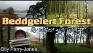Beddgelert Forest - My Wettest Walk Yet!