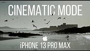iPhone 13 Pro Max Cinematic Mode Tutorial | iPhone filmmaking