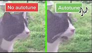 Wha Wha Cat No Autotune & Autotune edit
