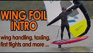 How to Wing Foil: Introduction (from wing handling to first flights)
