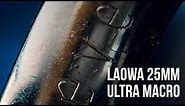Laowa 25mm f/2.8 2.5x - 5x Ultra Macro Lens Review | Serious Macro Photography
